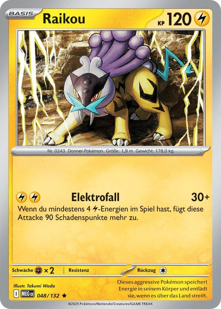 Raikou 048/132 Rare HOLO FOIL - Mega-Entwicklung Deutsch