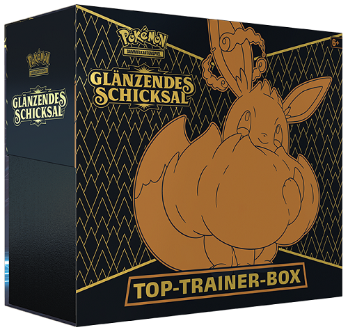 Glänzendes Schicksal Top Trainer Box Evoli VMAX