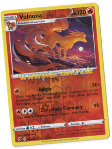 Pokemon Display kaufen