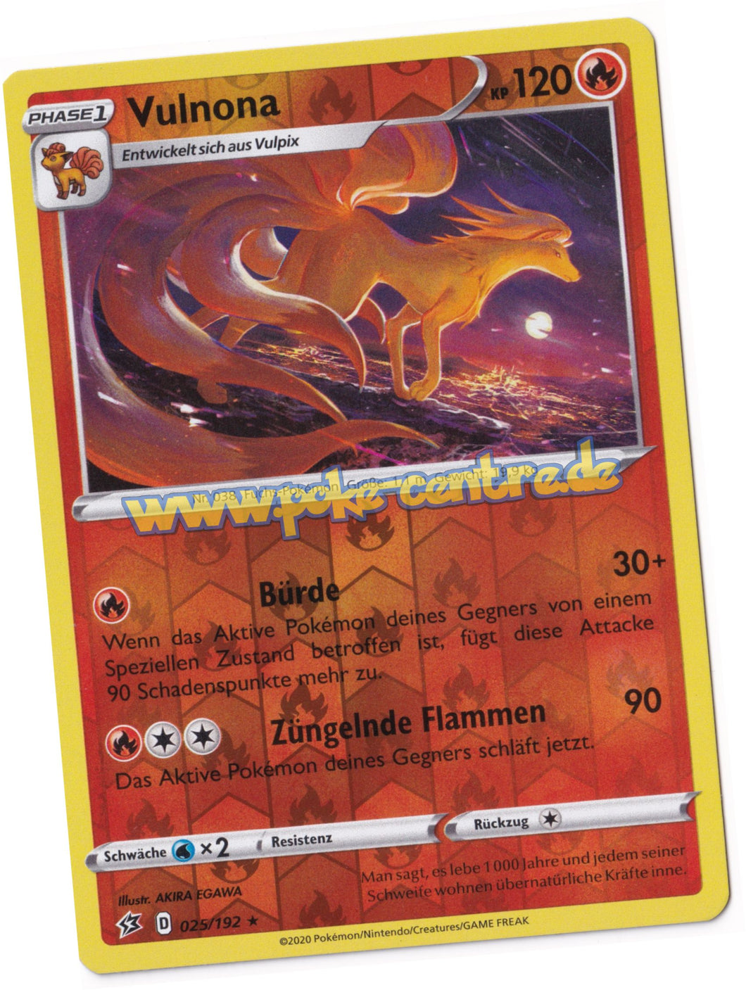 Pokemon Display kaufen