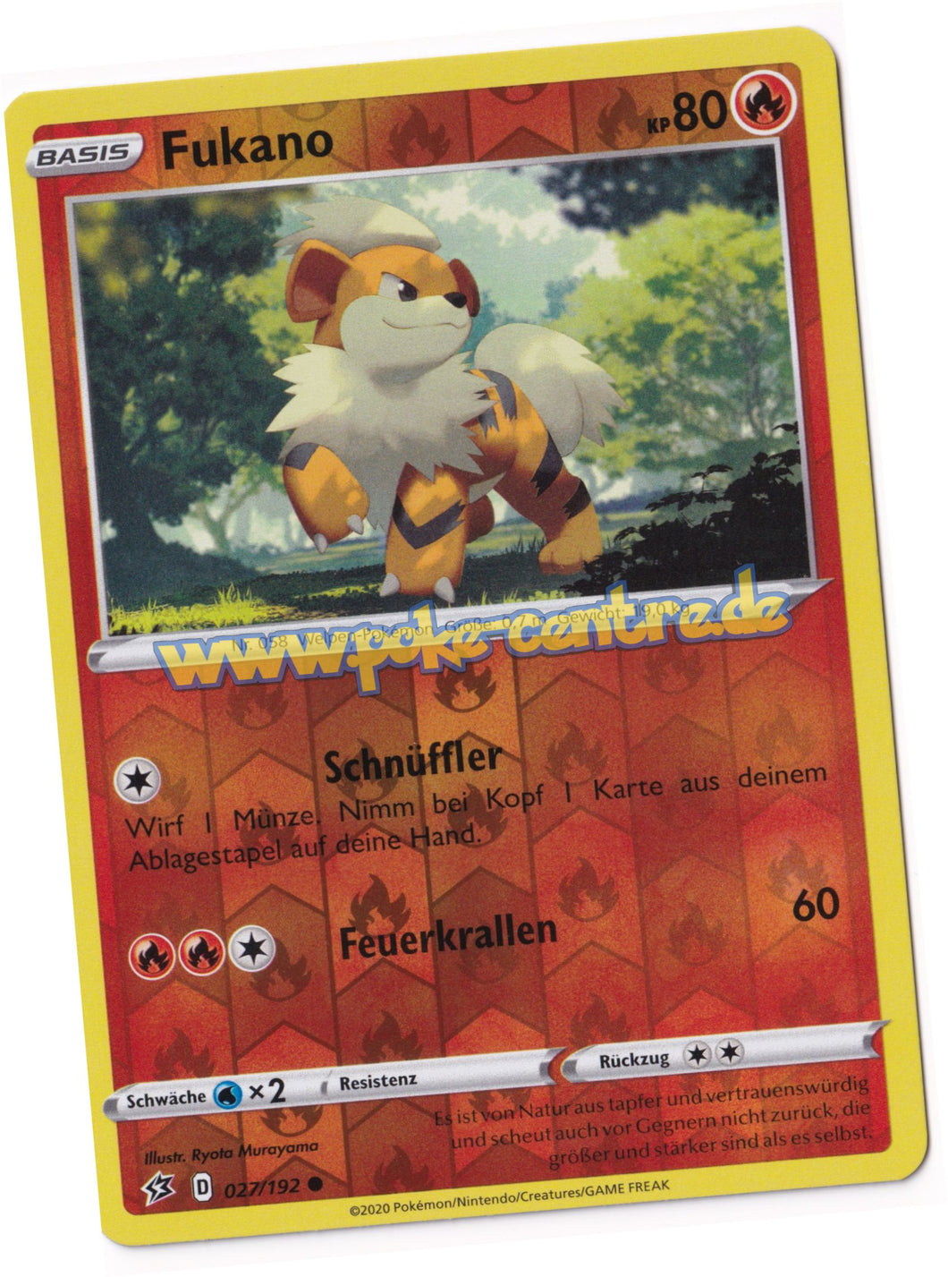 Pokemon Display kaufen