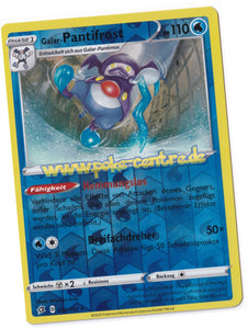 Pokemon Display kaufen