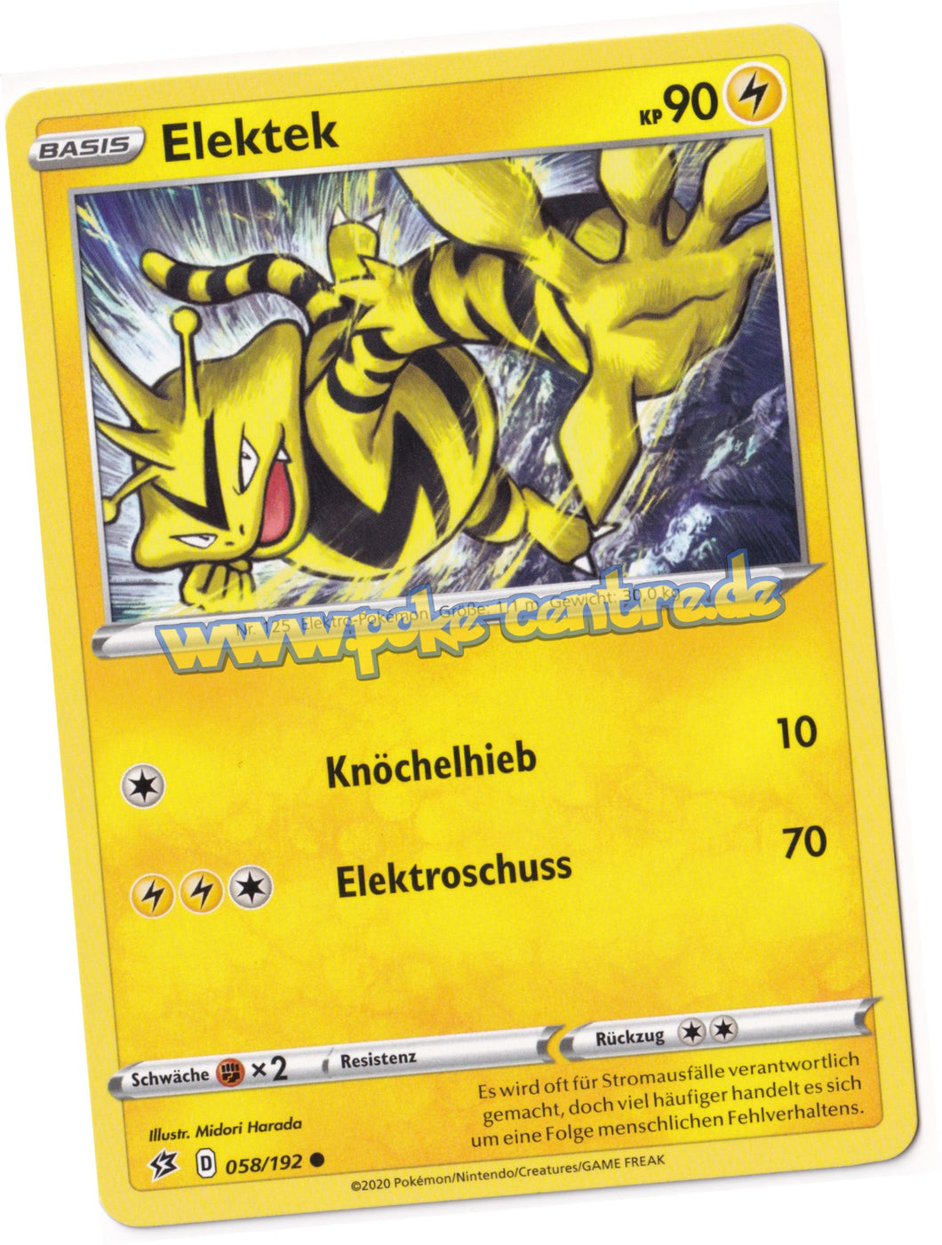 Pokemon Display kaufen