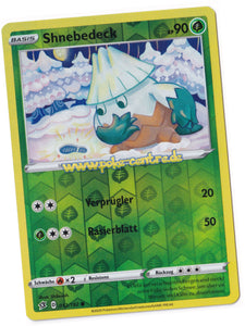 Pokemon Display kaufen