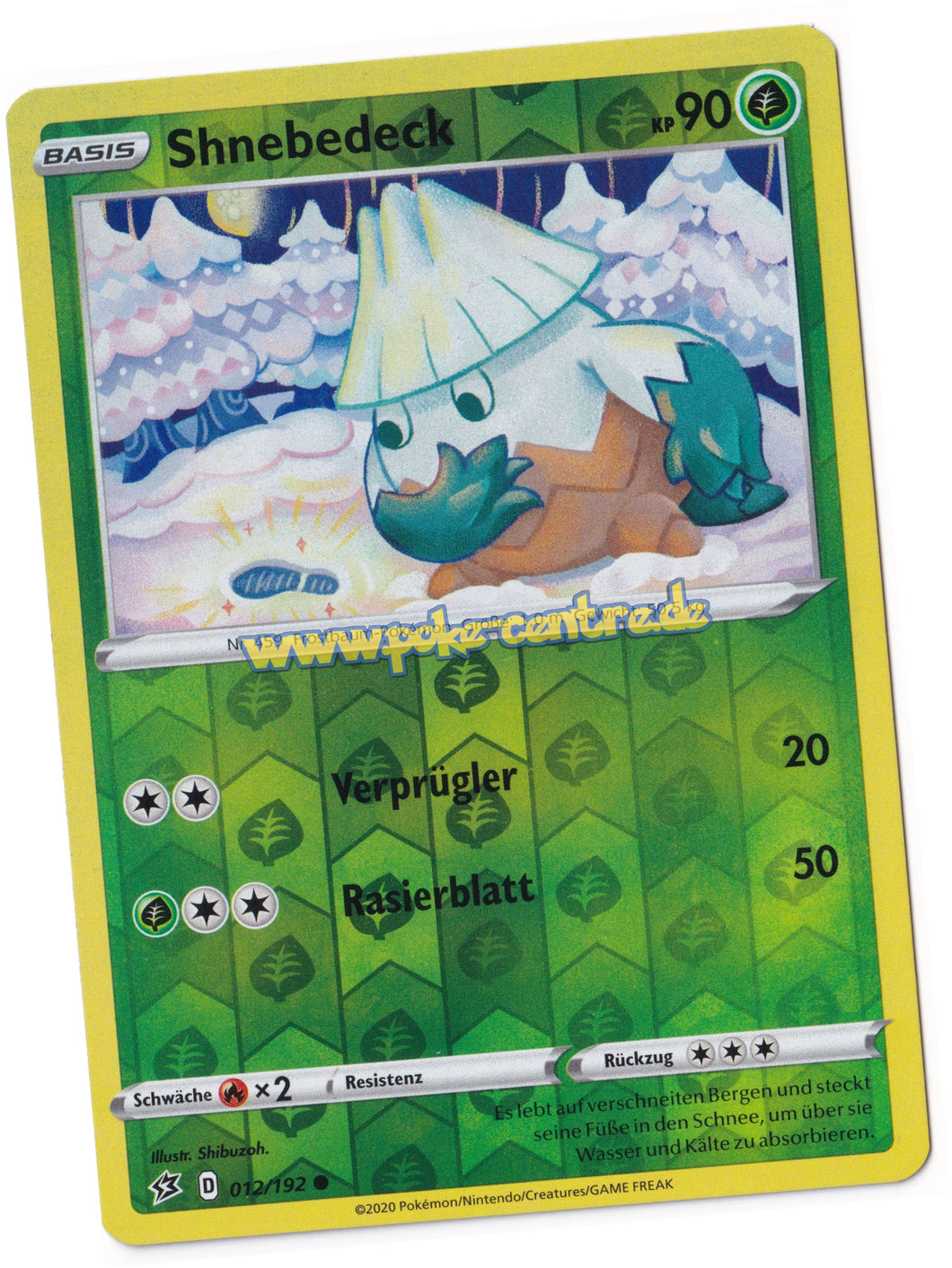 Pokemon Display kaufen
