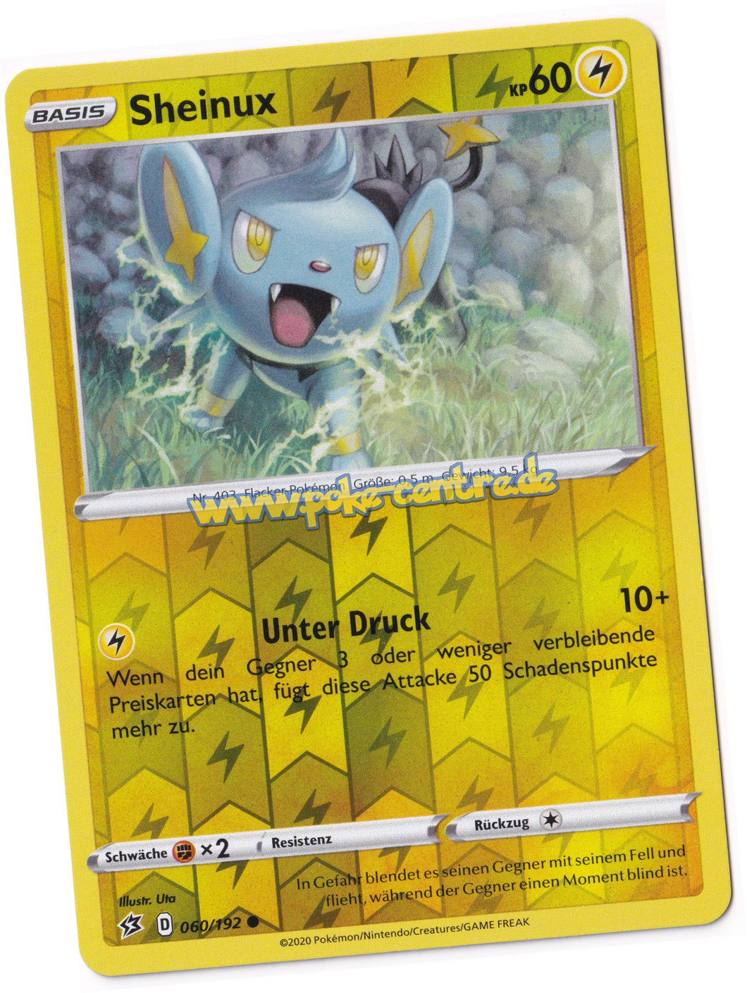 Pokemon Karten kaufen